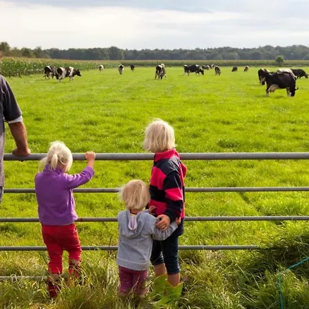 Hoeve Meijer Luxury tent Otterlo